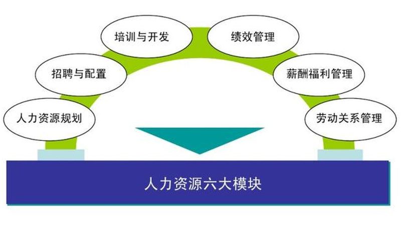 人力资源外包服务商标准评估：关键要素解析**