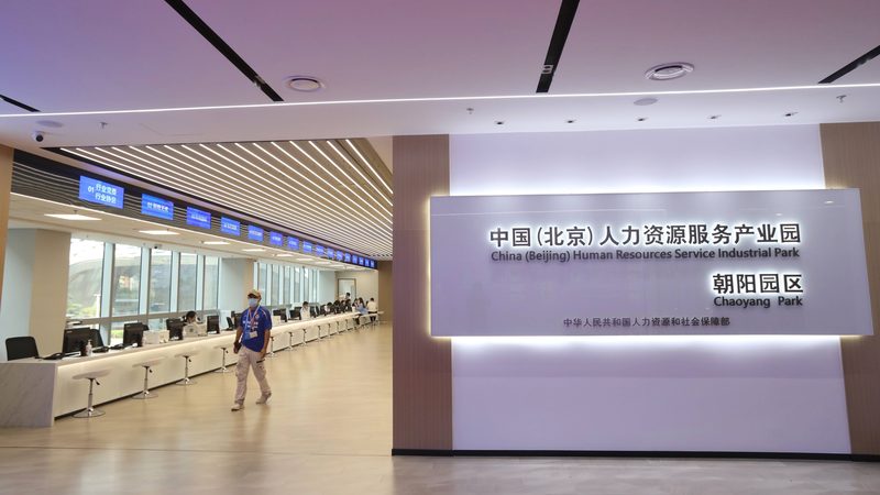 企业定制化人力资源解决方案：精准匹配，助力企业腾飞